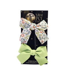 Prendedor Duo laços verdes