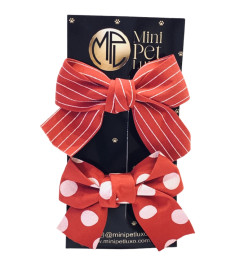 Prendedor Duo Vermelho listra